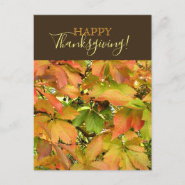 Cartão Postal De Festividades Feliz Dia de Ação de Graças