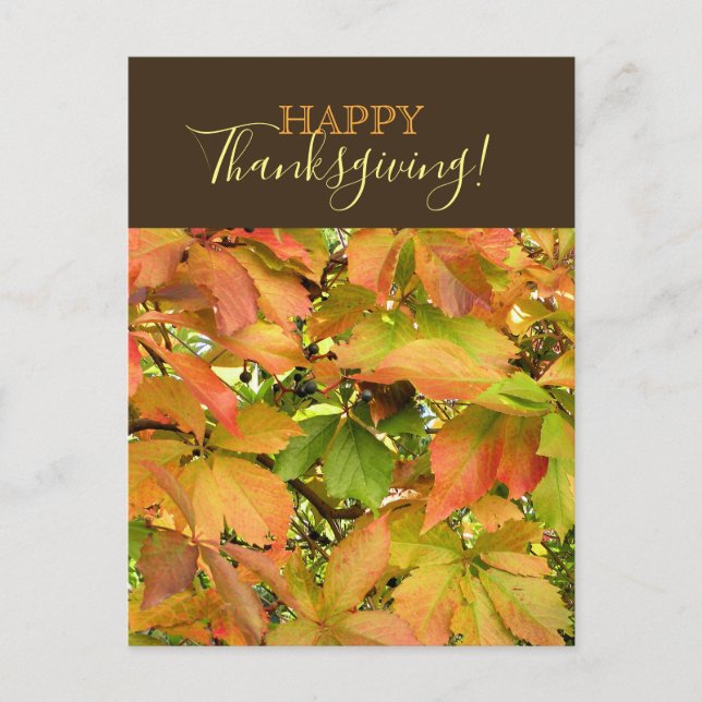 Cartão Postal De Festividades Feliz Dia de Ação de Graças (Frente)
