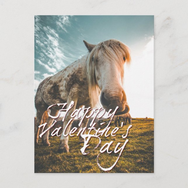 Cartão Postal De Festividades Feliz dia de os namorados com Cavalo (Frente)