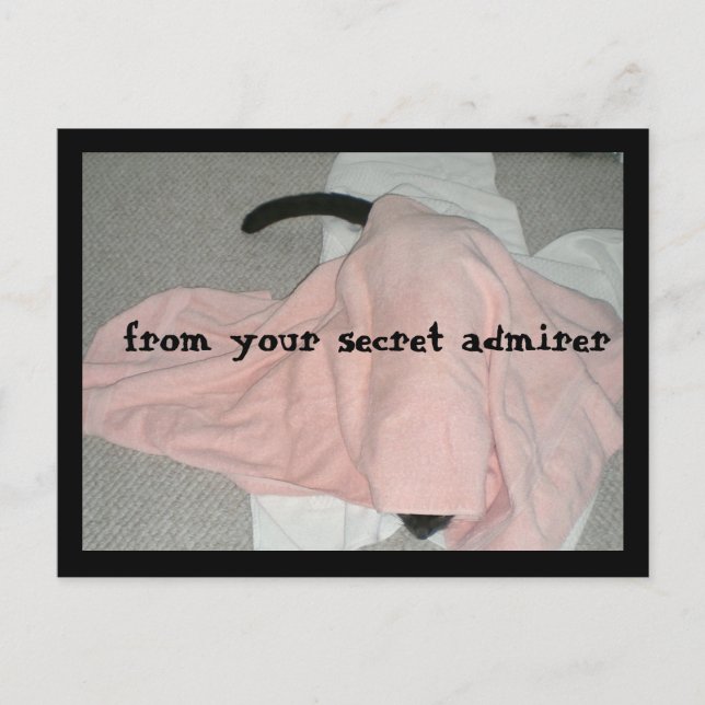 Cartão Postal De Festividades Feliz dia de os namorados do Pet (Frente)