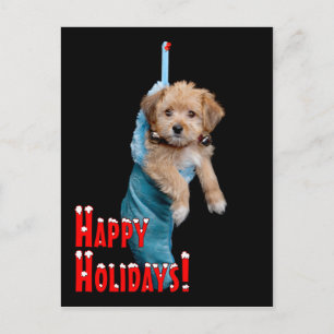 Cartão Postal De Festividades Feliz Feriados Puppy
