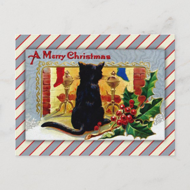 Cartão Postal De Festividades Feliz Gatinho de Natal (Frente)