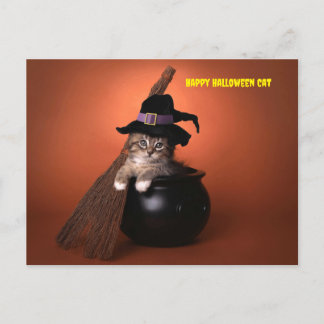 Cartão Postal De Festividades Feliz Gato de Halloween