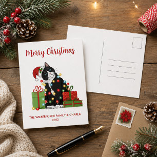 Cartão Postal De Festividades Feliz Gato Negro e Natal
