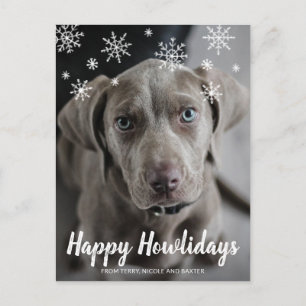 Cartão Postal De Festividades Feliz Howlidays Chalk Script Snowflakes Foto Cão