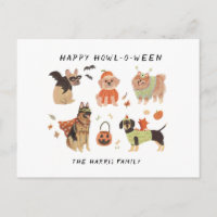 Feliz laboratório de Comidas de Halloween para cãe