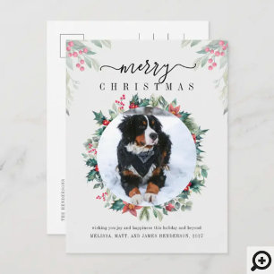 Cartão Postal De Festividades Feliz Mistura Fotográfica de Cão de Natal
