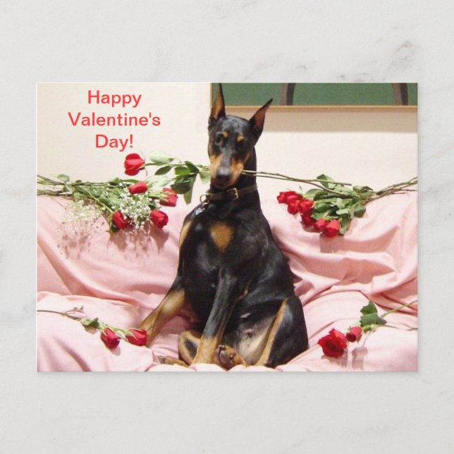 Cartão Postal De Festividades Feliz Namorados Dober para você (Frente)