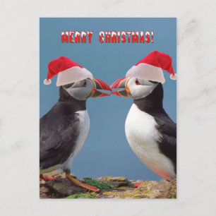 Cartão Postal De Festividades Feliz Natal