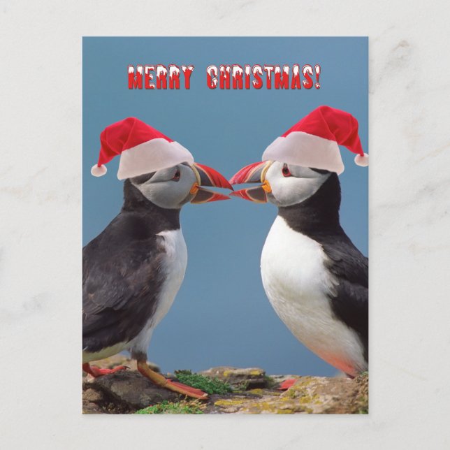 Cartão Postal De Festividades Feliz Natal (Frente)