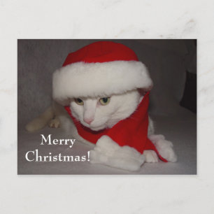 Cartão Postal De Festividades Feliz Natal!