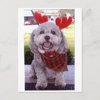 Cartão Postal De Festividades Feliz Natal