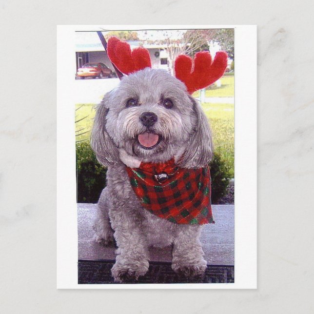 Cartão Postal De Festividades Feliz Natal (Frente)