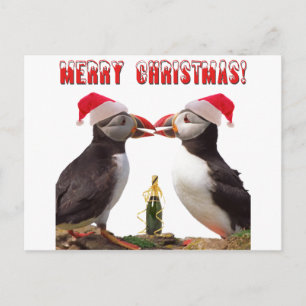 Cartão Postal De Festividades Feliz Natal