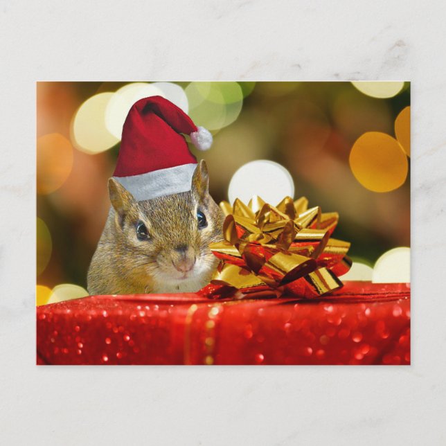 Cartão Postal De Festividades Feliz Natal bonito do Chipmunk (Frente)