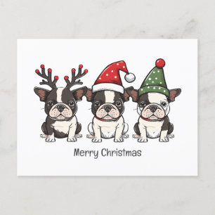 Cartão Postal De Festividades Feliz Natal - Boston Terrier Dogs