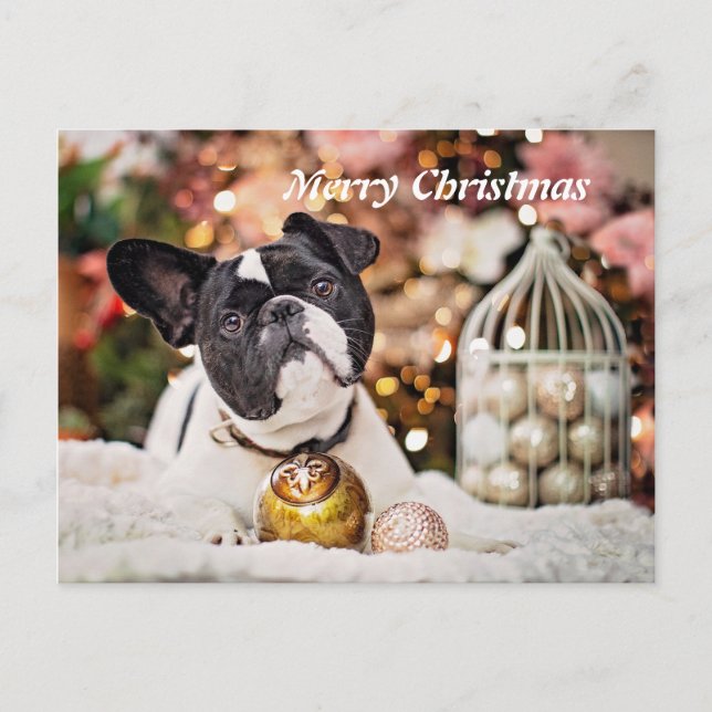 Cartão Postal De Festividades Feliz Natal - Buldogue Francês (Frente)