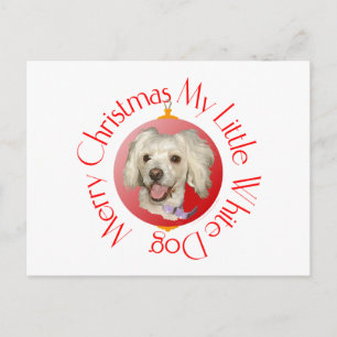 Cartão Postal De Festividades Feliz Natal Cachorrinho Poodle / Bichon