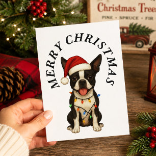 Cartão Postal De Festividades Feliz Natal Cachorro Terrier de Boston Gorro do Pa