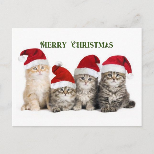 Cartão Postal De Festividades Feliz Natal Cats (Frente)
