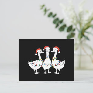 Cartão Postal De Festividades Feliz Natal Chapéu de Papai Noel Patos Feriado Xma