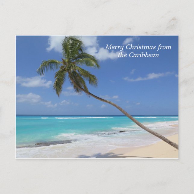 Cartão Postal De Festividades Feliz Natal da palmeira de Caribe (Frente)