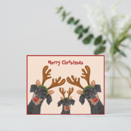 Cartão Postal De Festividades Feliz Natal Dachshund Reindeer Red Dogues