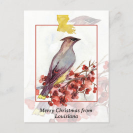 Cartão Postal De Festividades Feliz Natal de Louisiana Cedar Waxwing Bird