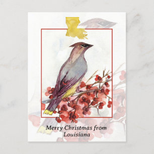 Cartão Postal De Festividades Feliz Natal de Louisiana Cedar Waxwing Bird