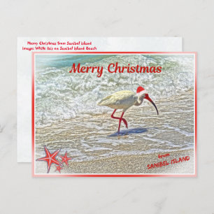 Cartão Postal De Festividades Feliz Natal de Sanibel Island FL White Ibis