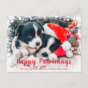 Cartão Postal De Festividades Feliz Natal dos Cães Felizes