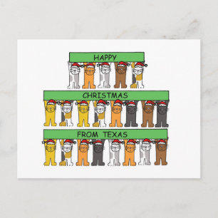 Cartão Postal De Festividades Feliz Natal dos Gatos de Cartoon do Texas