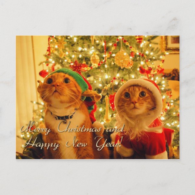 Cartão Postal De Festividades feliz natal e feliz ano novo (Frente)