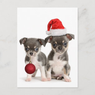 Cartão Postal De Festividades Feliz Natal E Feliz ano novo