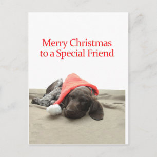 Cartão Postal De Festividades Feliz Natal Feliz Amigo Especial Grizzly