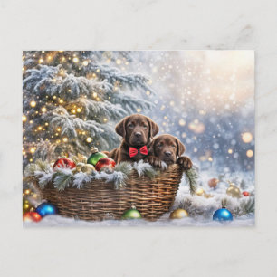 Cartão Postal De Festividades Feliz Natal Férias Puppies de Laboratório de Choco