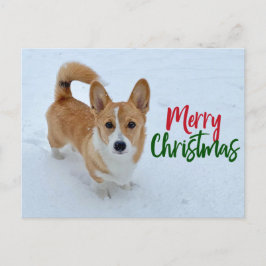 Cartão Postal De Festividades Feliz Natal - Foto de Corgi na Bela Neve