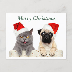 Cartão Postal De Festividades Feliz Natal Gato e Cachorro