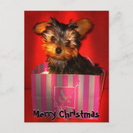 Cartão Postal De Festividades Feliz Natal - Little Yorkie personalizável