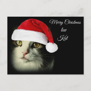 Cartão Postal De Festividades Feliz Natal Luv Kat