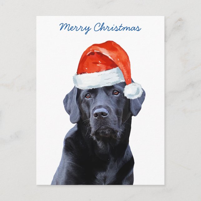 Cartão Postal De Festividades Feliz Natal Papais noeis Cachorros Bonitos Labrado (Frente)
