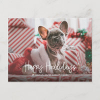 Feliz Natal para os Pets com Foto Única de Natal