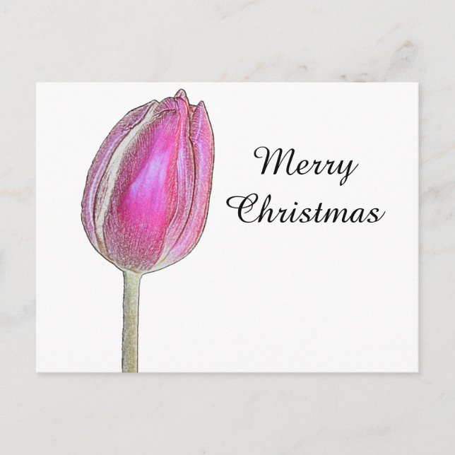 Cartão Postal De Festividades Feliz Natal Pink Tulip Flor Arte Floral Branco (Frente)