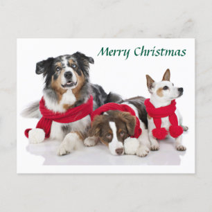 Cartão Postal De Festividades Feliz Natal Pups