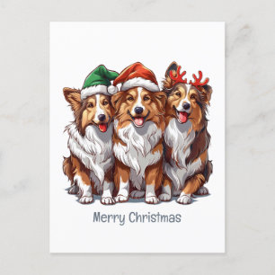 Cartão Postal De Festividades Feliz Natal Shetland Sheepdog