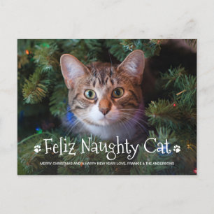 Cartão Postal De Festividades Feliz Naughty Cat Engraçado Foto Personalizada de 