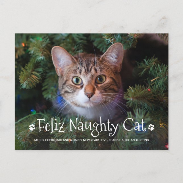 Cartão Postal De Festividades Feliz Naughty Cat Engraçado Foto Personalizada de  (Frente)