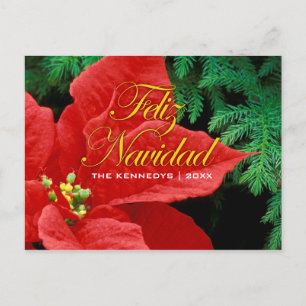 Cartão Postal De Festividades Feliz Navidad - Arco Red Poinsettia e Fir