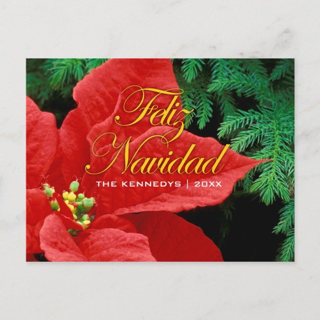 Cartão Postal De Festividades Feliz Navidad - Arco Red Poinsettia e Fir (Frente)