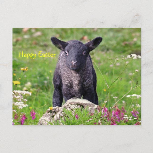 Cartão Postal De Festividades Feliz Páscoa (Frente)